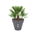 loft urban rond wielen 60cm antraciet